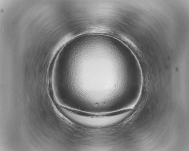 X0000060811471200511141453