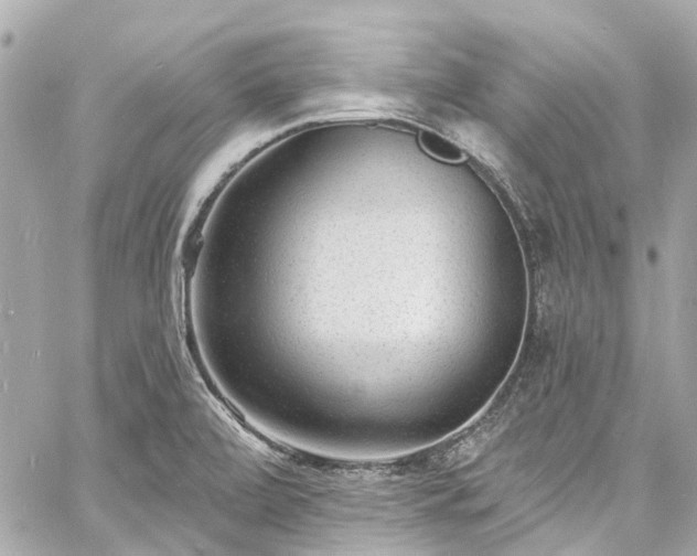 X0000060811472200511141453