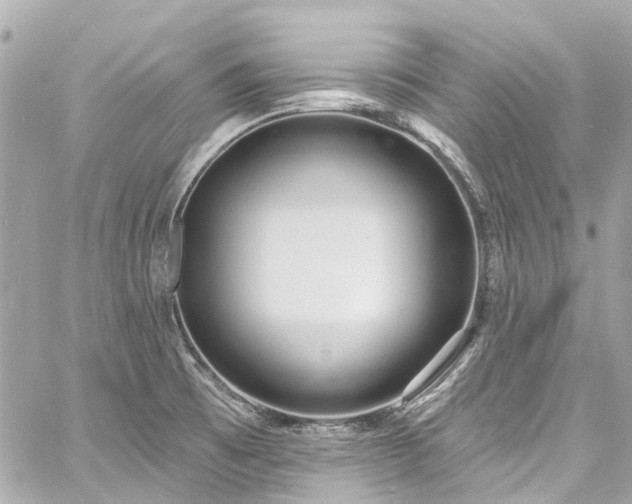 X0000060811473200511141453