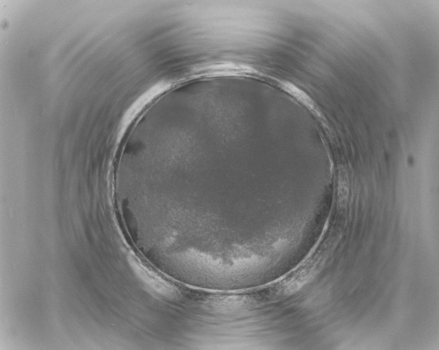 X0000060811474200511141453