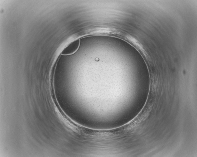 X0000060811475200511141453