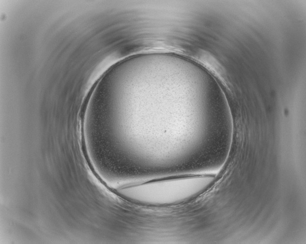 X0000060811476200511141453