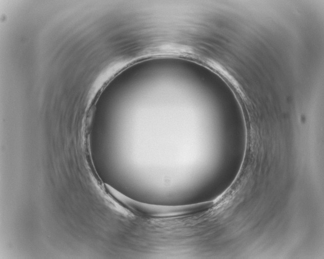 X0000060811477200511141453