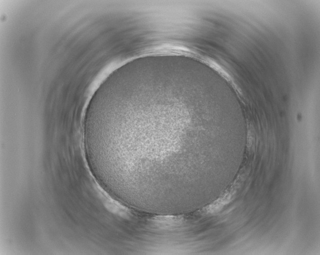 X0000060811478200511141453