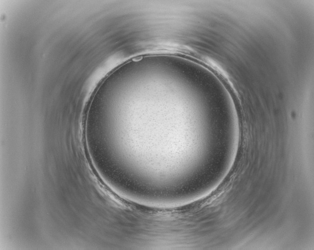 X0000060811480200511141453