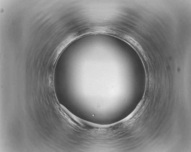 X0000060811481200511141453