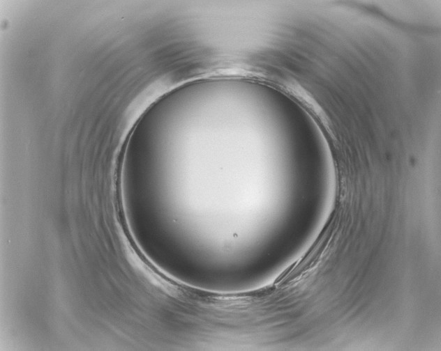 X0000060811483200511141453