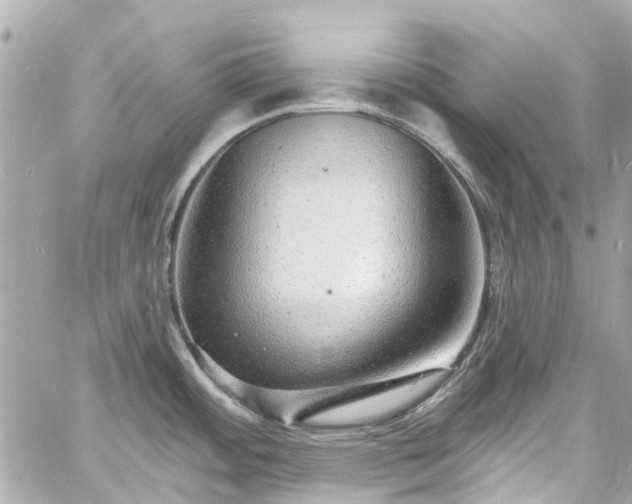 X0000060811484200511141453