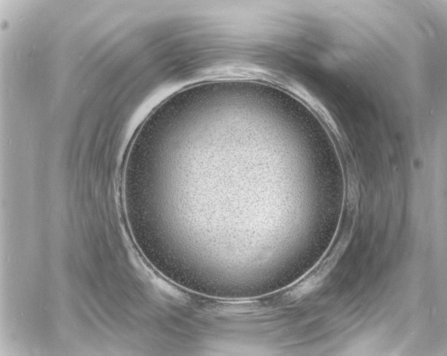 X0000060811486200511141453