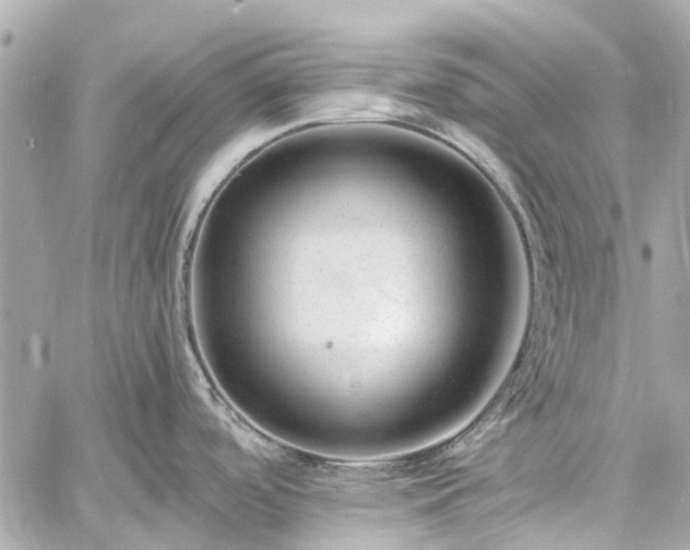 X0000060811488200511141453