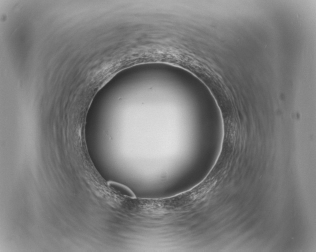 X0000060811489200511141452