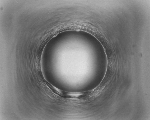 X0000060811490200511141452