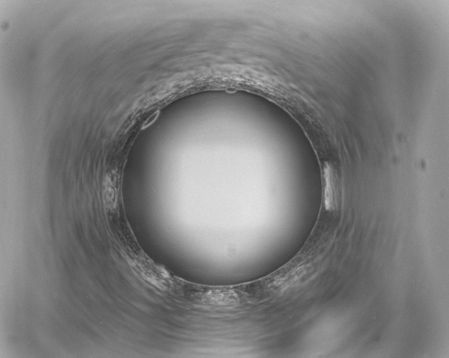 X0000060811491200511141452