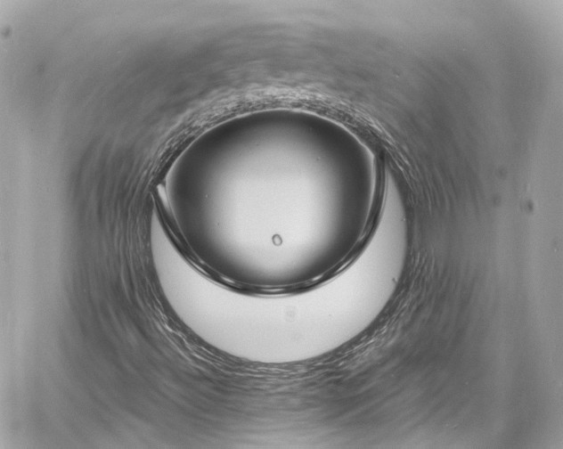 X0000060811492200511141452