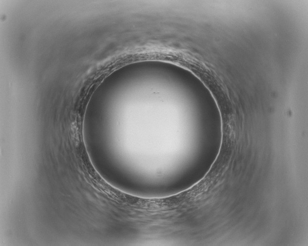 X0000060811493200511141452