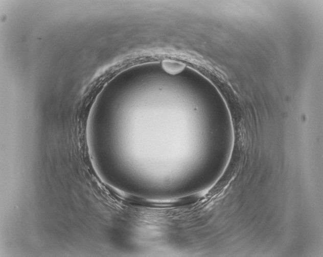 X0000060811494200511141452