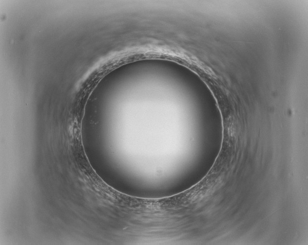 X0000060811495200511141452