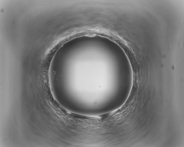 X0000060811496200511141452