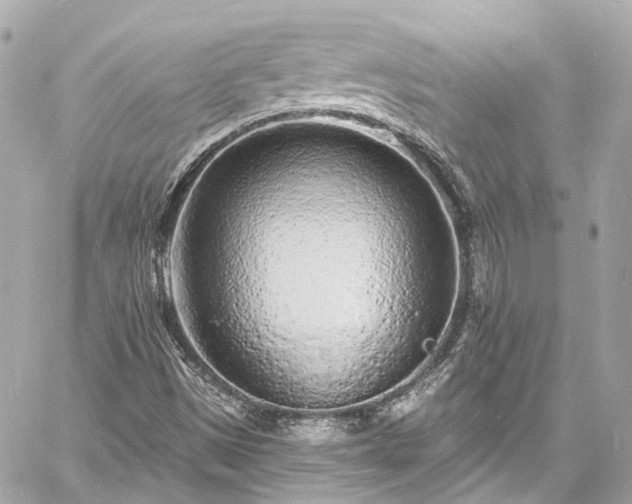 X0000060811497200511141452