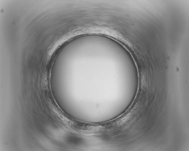 X0000060811498200511141452