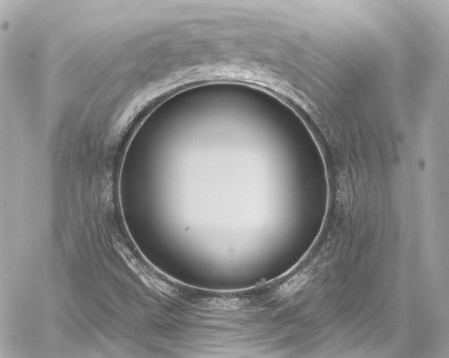 X0000060811499200511141452