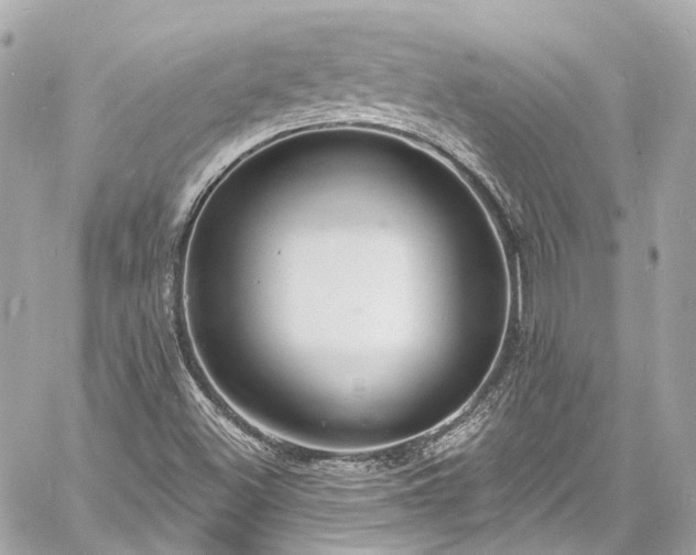 X0000060811500200511141452