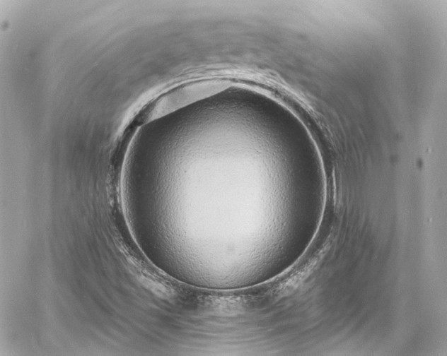 X0000060811501200511141452