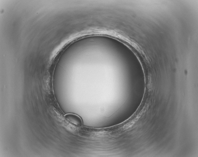 X0000060811502200511141452