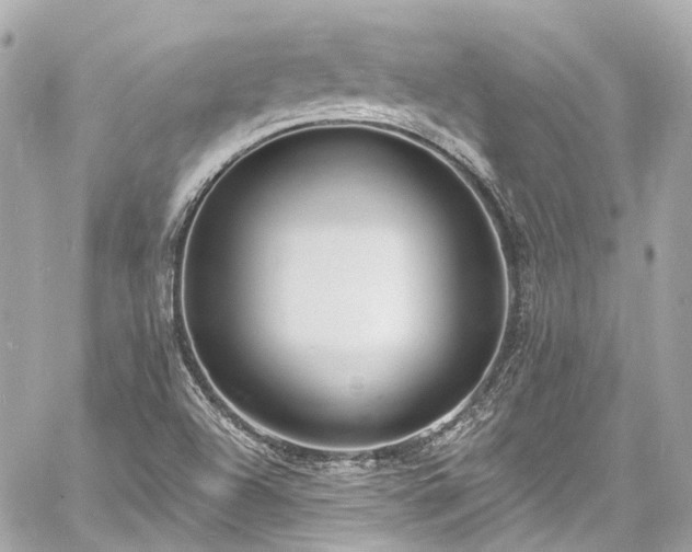 X0000060811504200511141452