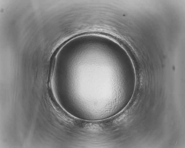 X0000060811505200511141452