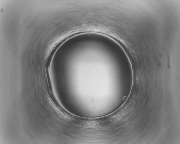 X0000060811507200511141452