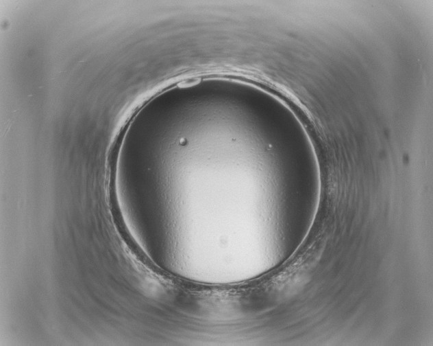 X0000060811508200511141452