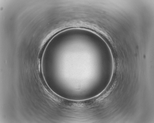 X0000060811509200511141452