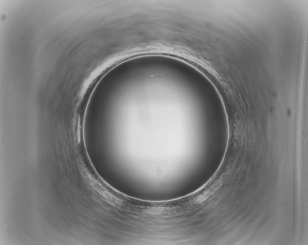 X0000060811510200511141452