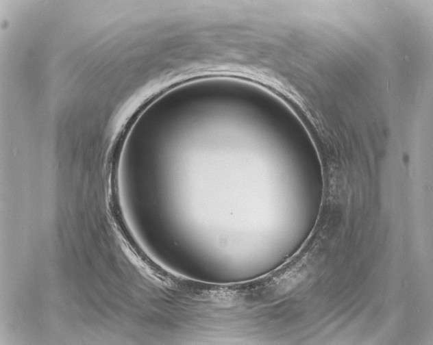 X0000060811511200511141452