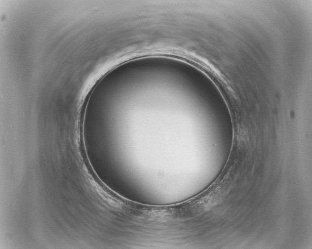 X0000060811512200511141452