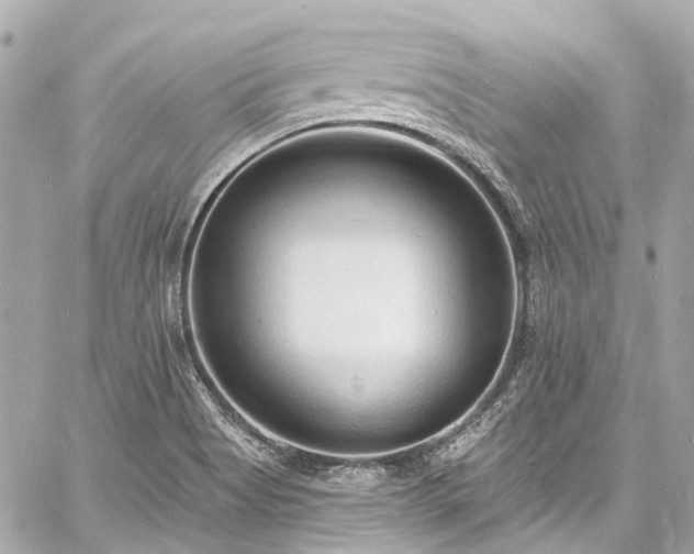 X0000060811513200511141452