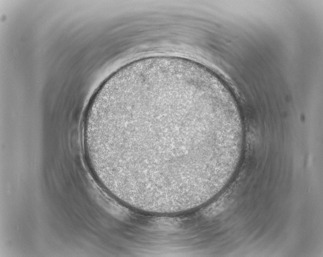 X0000060811514200511141452