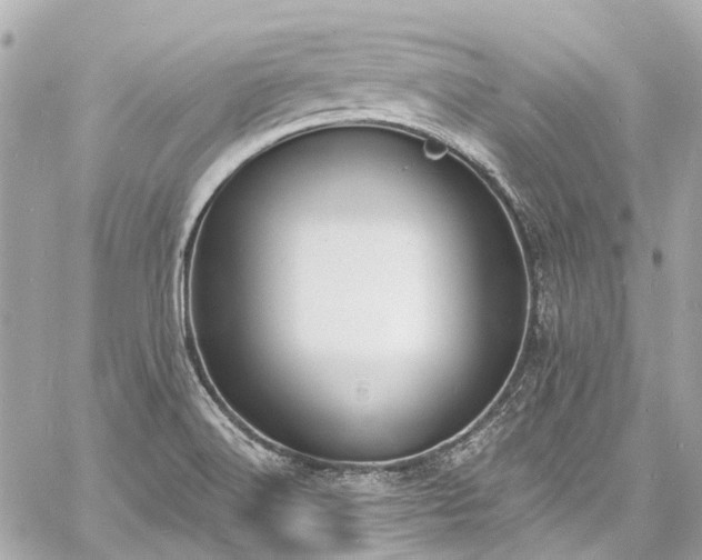 X0000060811516200511141452