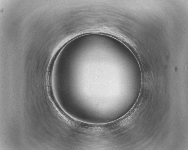 X0000060811517200511141453