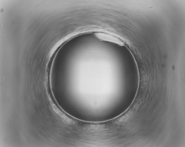 X0000060811518200511141453