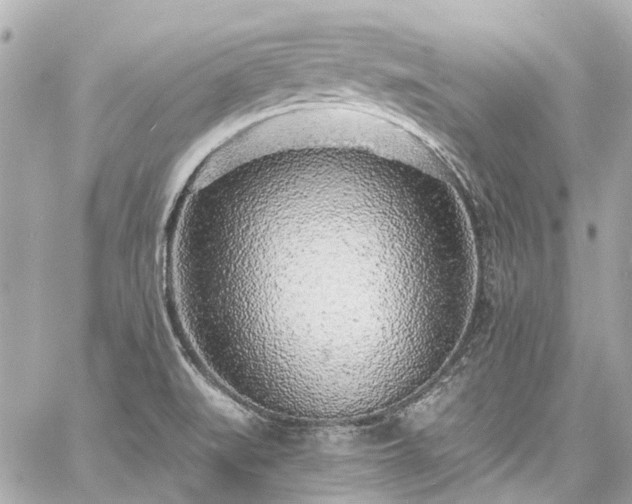 X0000060811519200511141453