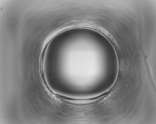 X0000060811520200511141453