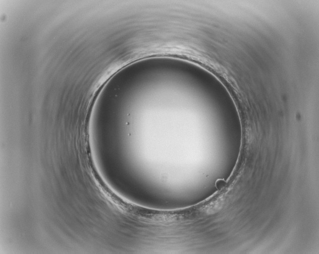 X0000060811521200511141453