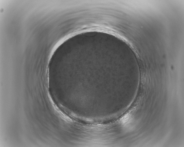 X0000060811522200511141453