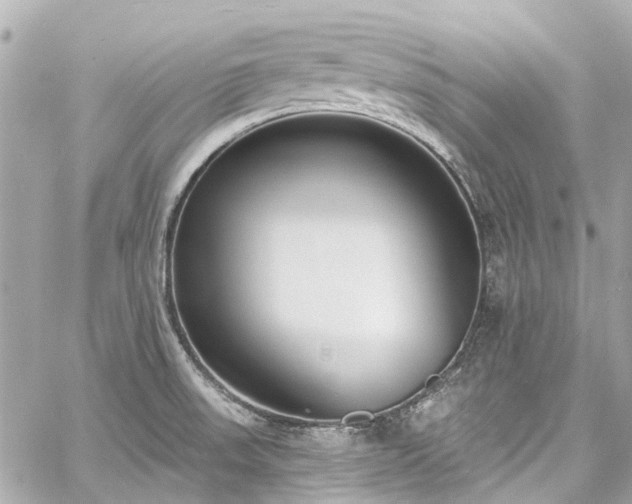 X0000060811523200511141453