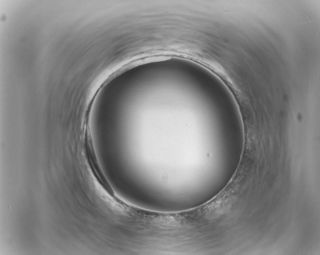 X0000060811524200511141453