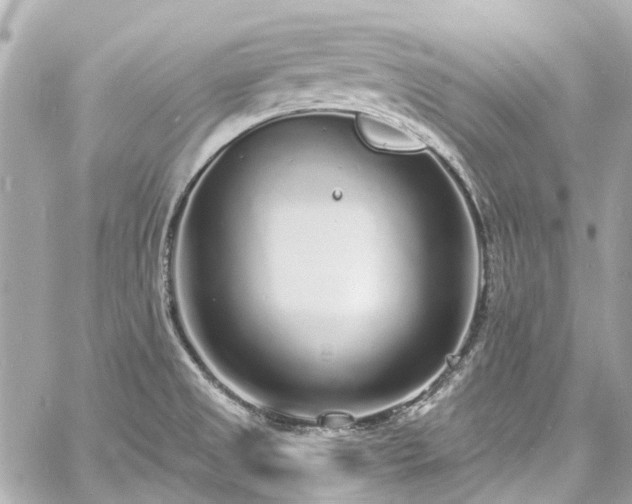 X0000060811525200511141453