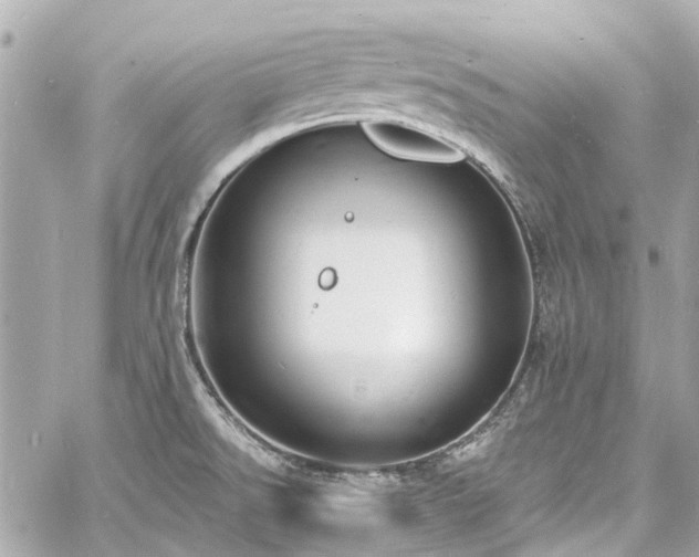 X0000060811526200511141453