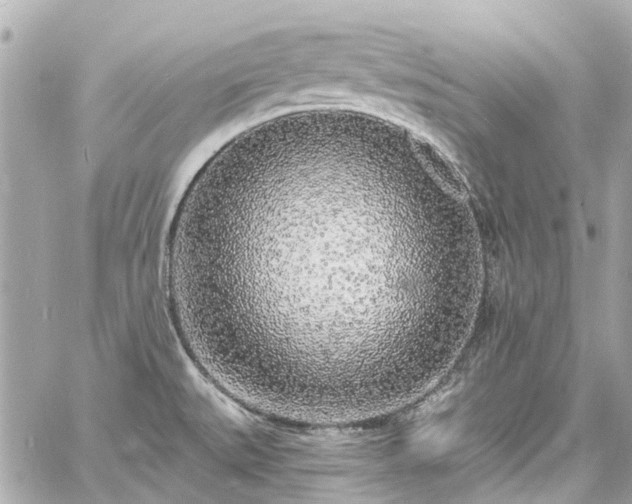 X0000060811527200511141453